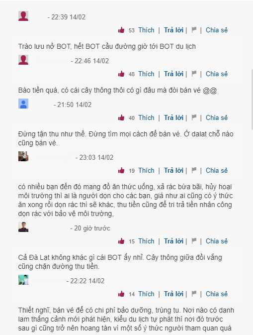 Thu phi tham quan “cay thong co don” nhu tram BOT, dan mang noi gi?-Hinh-4