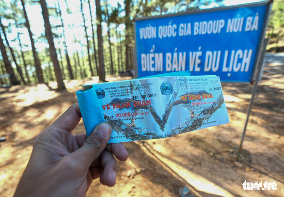 Thu phi tham quan “cay thong co don” nhu tram BOT, dan mang noi gi?-Hinh-2