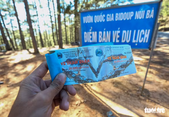 Thu phi tham quan “cay thong co don” nhu tram BOT, dan mang noi gi?-Hinh-2