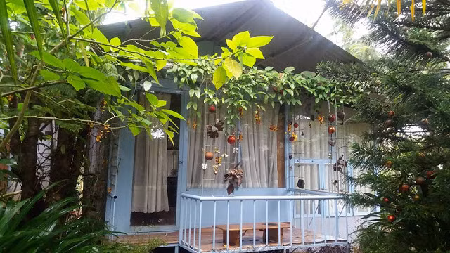 Với dịp Tết dương lịch được nghỉ dài ngày, giới trẻ Bắc - Nam đã chọn cho mình những ngày nghỉ dưỡng lý thú cùng gia đình và bạn bè tại những homestay, đặc biệt là ở Đà Lạt.