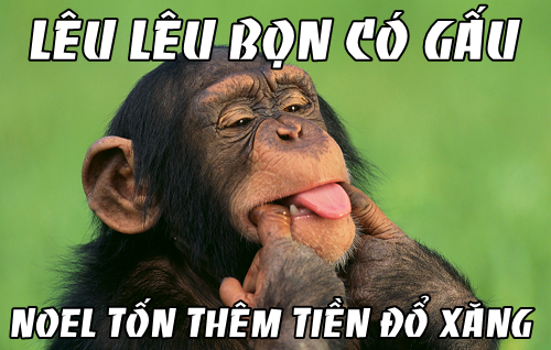 "Ra đường đêm Giáng sinh có "gấu" chri tổ tốn thêm tiền đổ xăng", đó là lời mà các dân FA tự an ủi nhau.