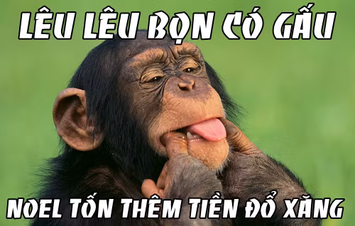 "Ra đường đêm Giáng sinh có "gấu" chri tổ tốn thêm tiền đổ xăng", đó là lời mà các dân FA tự an ủi nhau.