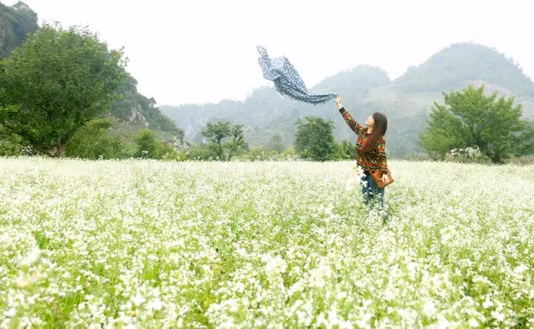 Mộc Châu khoác lên lớp áo trắng tinh khôi, mê hoặc bao người trong ngày mùa hoa cải.