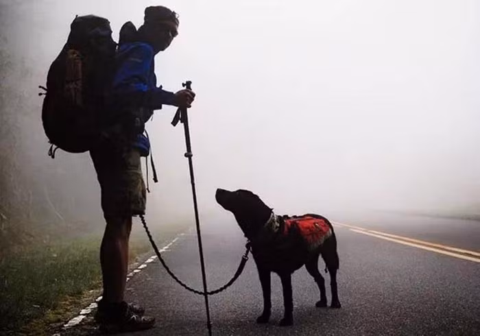 Nhưng bên cạnh đó cũng có một số lưu ý với các bạn khi có ý định đưa chó đi phượt đó là các bạn nên tìm hiểu kĩ xem người bạn 4 chân của mình thuộc giống gì và xem điều kiện thích nghi với điều kiện sắp tới ra sao để đảm bảo sức khỏe cho cún và cũng là đỡ mệt cho các bạn.