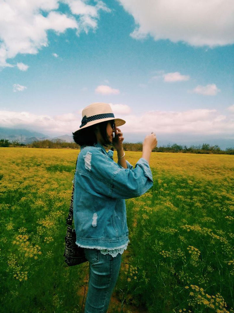 Những bức ảnh đẹp lung linh chẳng kém Hàn Quốc tại cánh đồng hoa thì là tại Ninh Thuận.