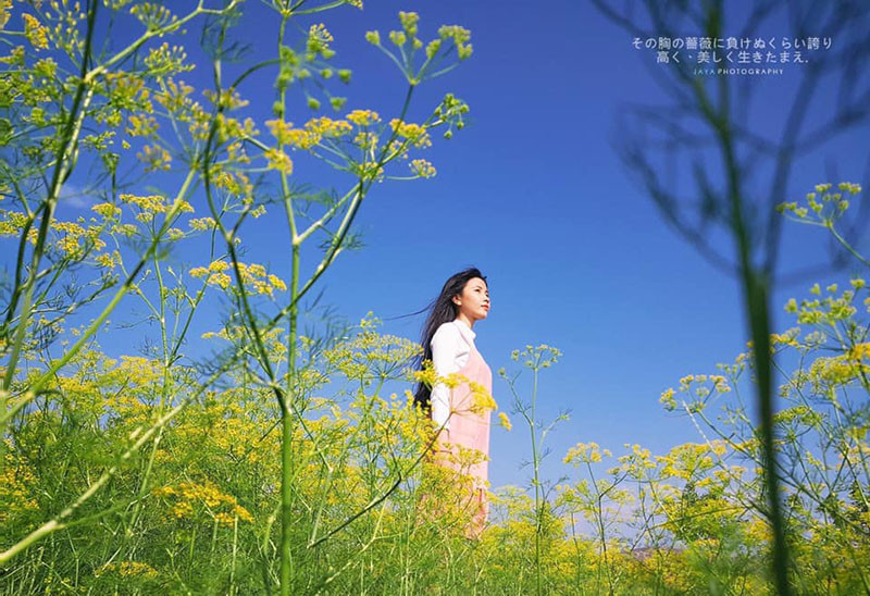 Với sự "lung linh" có thể nhìn thấy , cánh đồng thì là là điểm đến đưa du khách vào thiên nhiên tuyệt vời, cùng những thước hình lung linh chẳng kém phim Hàn Quốc.