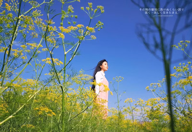 Với sự "lung linh" có thể nhìn thấy , cánh đồng thì là là điểm đến đưa du khách vào thiên nhiên tuyệt vời, cùng những thước hình lung linh chẳng kém phim Hàn Quốc.