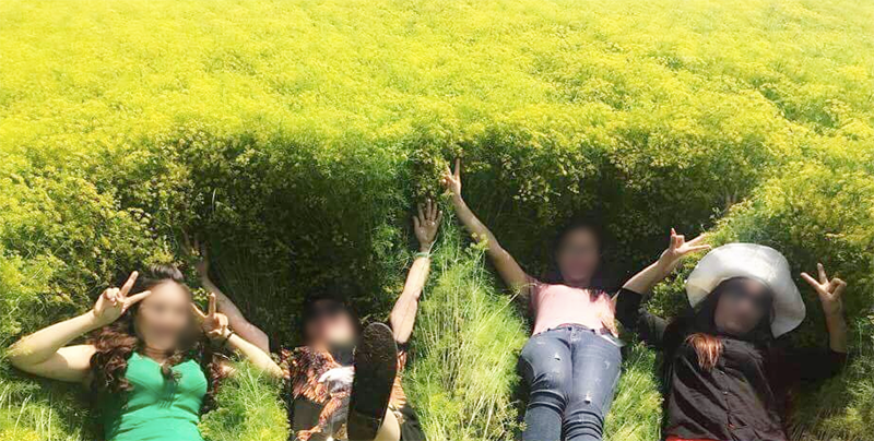 Bên cạnh những cánh đồng dài mênh mông thì là vàng, theo một số thông tin, chủ vườn còn đầu tư thêm hoa hướng dương, đồng cỏ cháy.