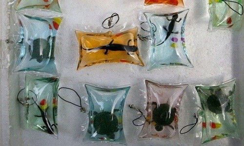 Với việc phải sống trong "nhà tù" nhỏ xíu, kèm theo bị rung lắc liên tục và không có phút giây nào được nghỉ ngơi, những con vật có thể kiệt sức và chết sau vài ngày.