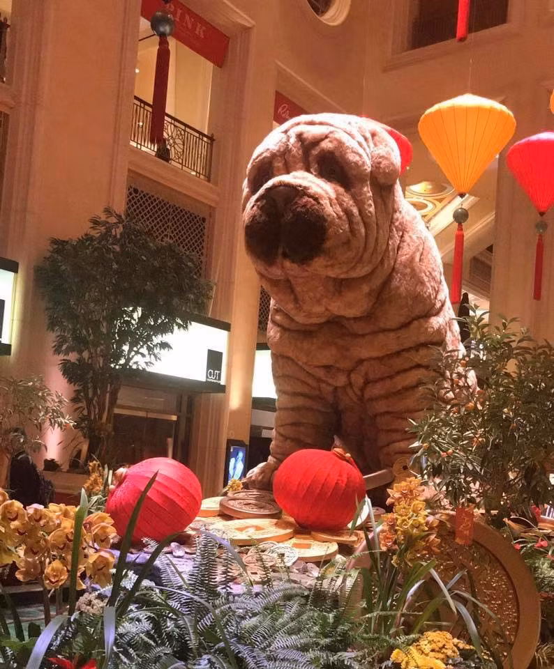 Không chỉ làm những chú chó có hình tượng kì thú, nhiều khu vui chơi, giải trí còn chơi trội bằng cách làm mô hình những chú chó có khuôn mặt lạ lẫm. Điển hình như bức ảnh này, một chú chó tây thuộc giống chó saphia được trưng bày tại Việt Nam.