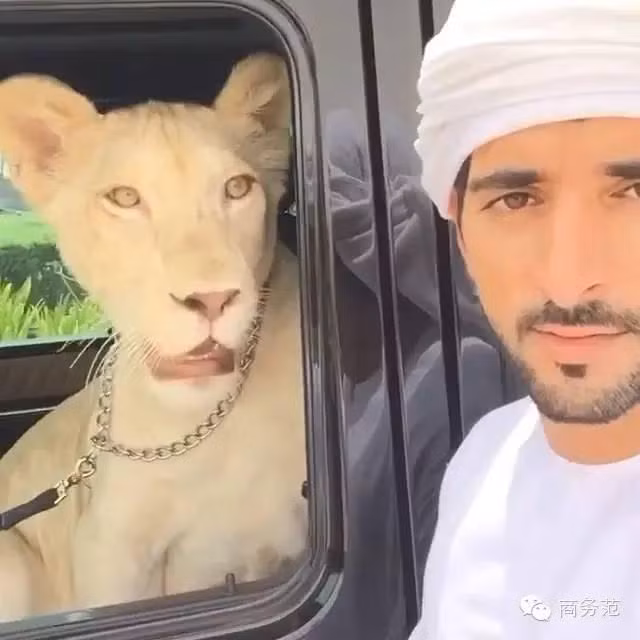 Ngoài học vấn và tri thức thì chàng hoàng tử này có những sở thích cá nhân khá thú vị để rèn luyện sức khỏe mà nhiều người không thể tưởng tượng nổi.