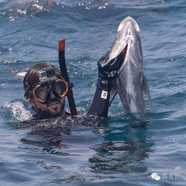 Ngoài ra, anh chàng sinh năm 1982 này còn có sở thích khá "dị" đó là lặn biển để bắt những con cá.