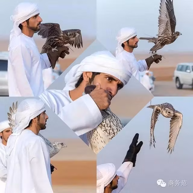 Hoàng tử Hamdan bin Mohammed bin Rashid al Maktoum con cú trong một chuyến đi săn của mình.