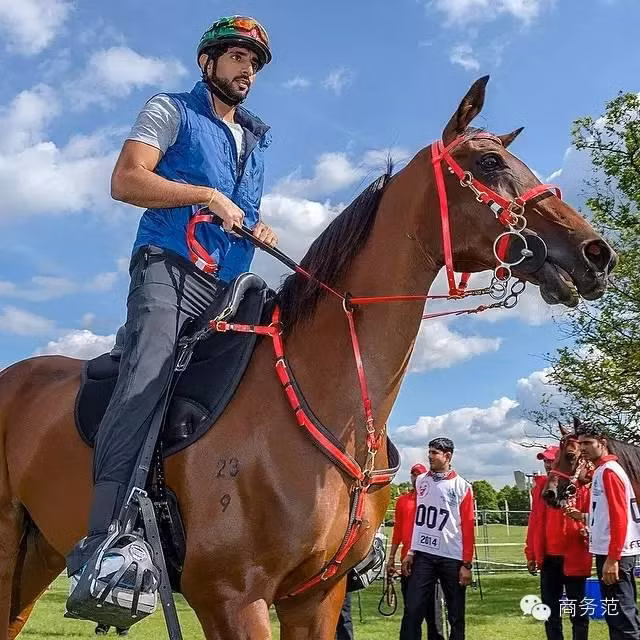 Nhiều cánh mày râu cũng phải ghen tỵ với hoàng tử của các tiểu Vương quốc Ả Rập thống nhất bởi thú chơi xa hoa “tỷ phú” và ưa phiêu lưu mạo hiểm.