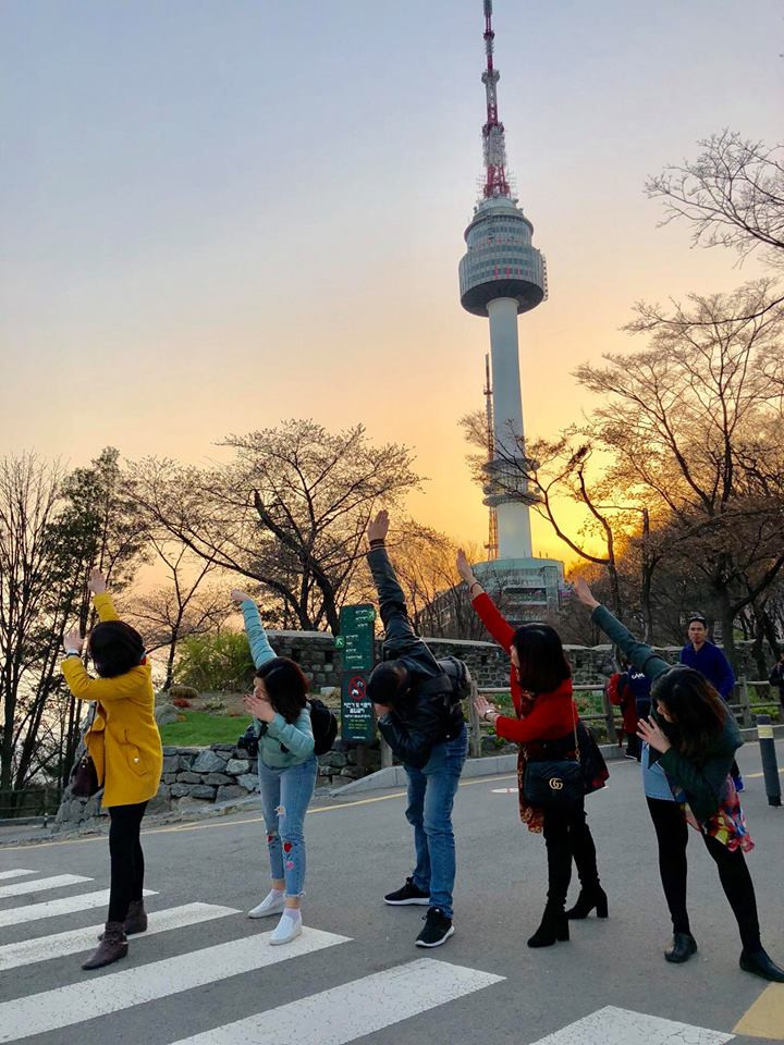 Cùng ngắm nhìn những hình ảnh hoa anh đào nở rộ tại Hàn Quốc. Nguồn ảnh: Tổ Kiến.