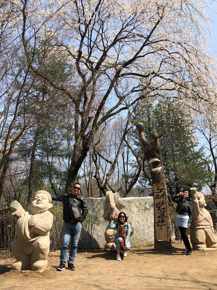 Đặc biệt ở đảo Nami, bạn sẽ được đắm chìm vào những con đường với hàng chục cây hoa anh đào được trồng san sát nhau vô cùng đẹp mắt bởi màu trắng tinh khôi và sự mong manh của những cánh hoa.