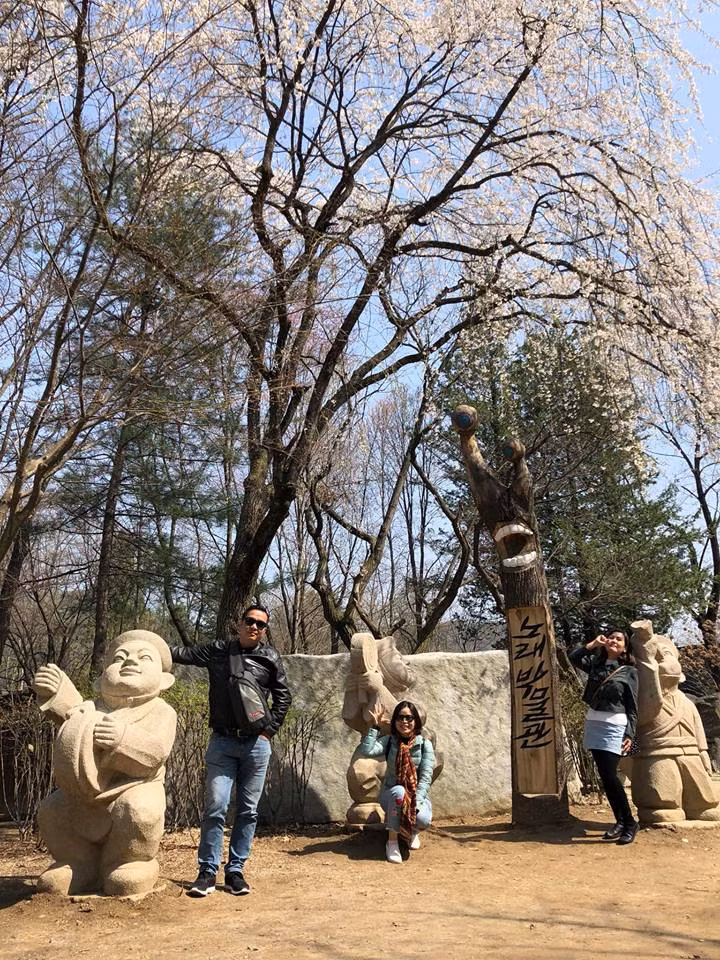 Đặc biệt ở đảo Nami, bạn sẽ được đắm chìm vào những con đường với hàng chục cây hoa anh đào được trồng san sát nhau vô cùng đẹp mắt bởi màu trắng tinh khôi và sự mong manh của những cánh hoa.