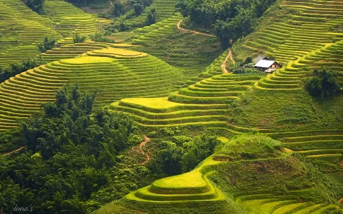 Một Tây Bắc tuyệt đẹp nhìn từ trên cao. Ảnh: Viettravel.