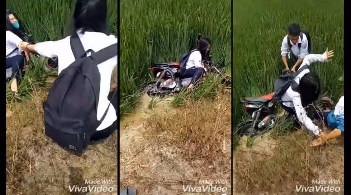 Trước đó, dân mạng cũng cho đăng tải rất nhiều hình ảnh những người tham gia giao thông ở nông thôn vì nhiều lý do mà ngã xuống ruộng khiến người xem rơi vào tâm trạng vừa cười, vừa thương.