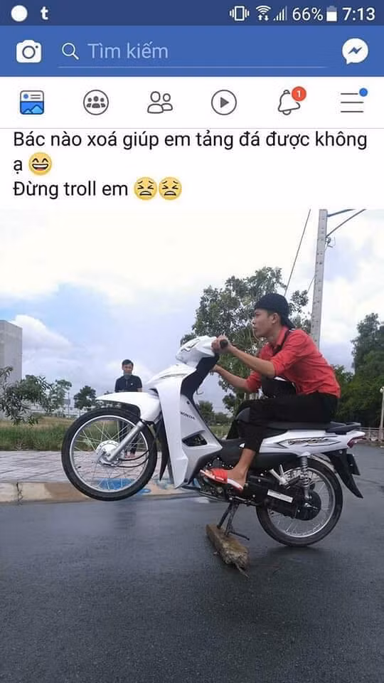 Nho dan mang sua anh “dan to” nhan cai ket khong the dang hon