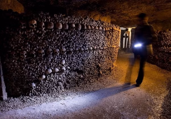 Người ra đã từng phải dọn sạch một rạp chiếu phim tự phát với đầy đủ màn hình, máy chiếu, ghế ngồi.