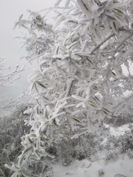 Những hình ảnh cho rằng Nghệ An có tuyết thực chất chỉ là ảnh cũ và đã được chụp cách đây đúng 1 năm từ đỉnh Kỳ Sơn.