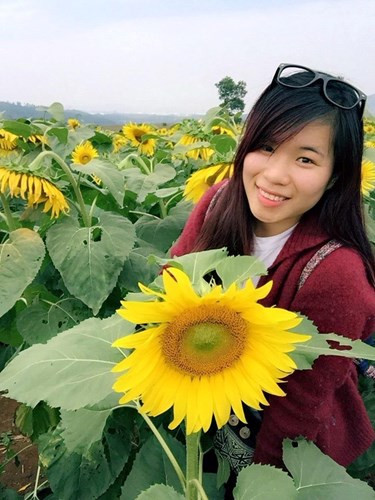 Vào thăm quan cánh đồng hoa hướng dương có rất nhiều bạn trẻ từ các tỉnh phía Bắc không quản đường xá xa xôi để vào tìm tới loại hoa quyến rũ này.