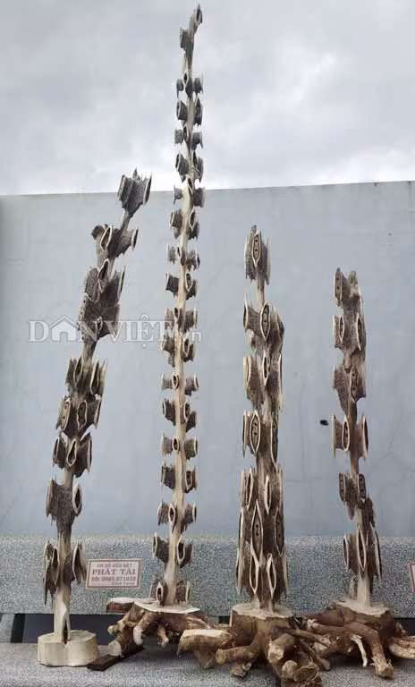 ...và tạo thành sản phẩm mỹ thuật đẹp mắt và có giá trị