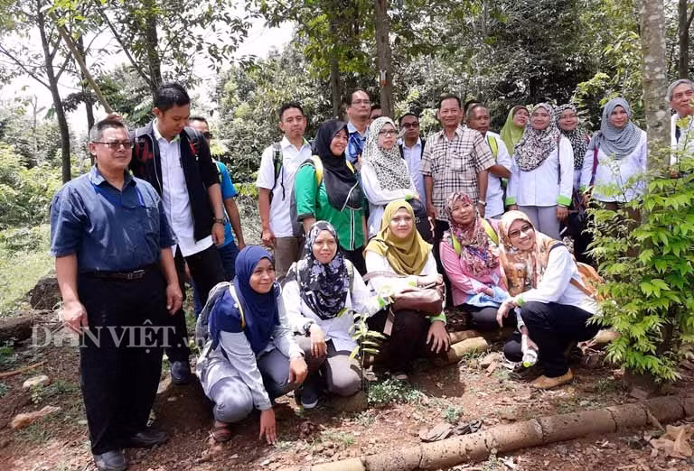 Nhờ chăm học hỏi, tìm tòi và đã cho kết quả nên ông Khoan được UBND tỉnh Đồng Nai tặng bằng khen và Cục sở hữu trí tuệ thuộc Bộ Khoa học và Công nghệ cấp giấy chứng nhận đăng ký độc quyền đối với chế phẩm vi sinh kích thích cây dó để tạo trầm hương.