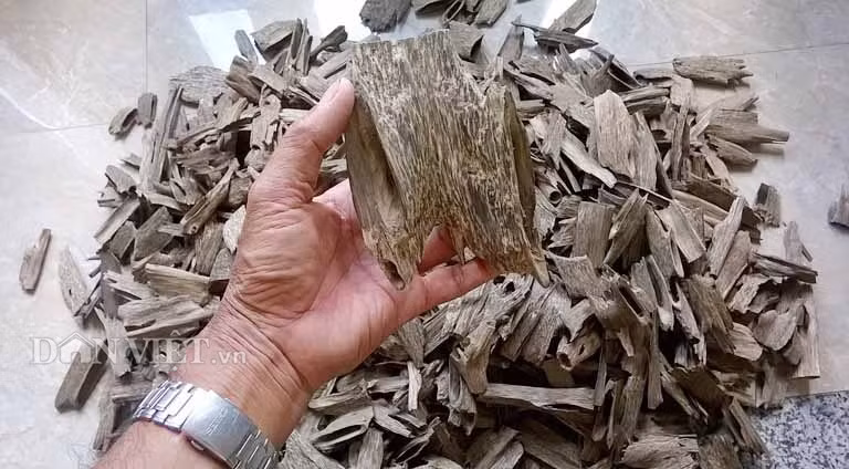 Ngoài ra còn có cả trầm kiến miếng, kiến ống. Các sản phẩm được làm từ trầm nhân tạo của ông Khoan có giá bán dao động từ 5 đến 20 triệu đồng/sản phẩm tùy từng loại.