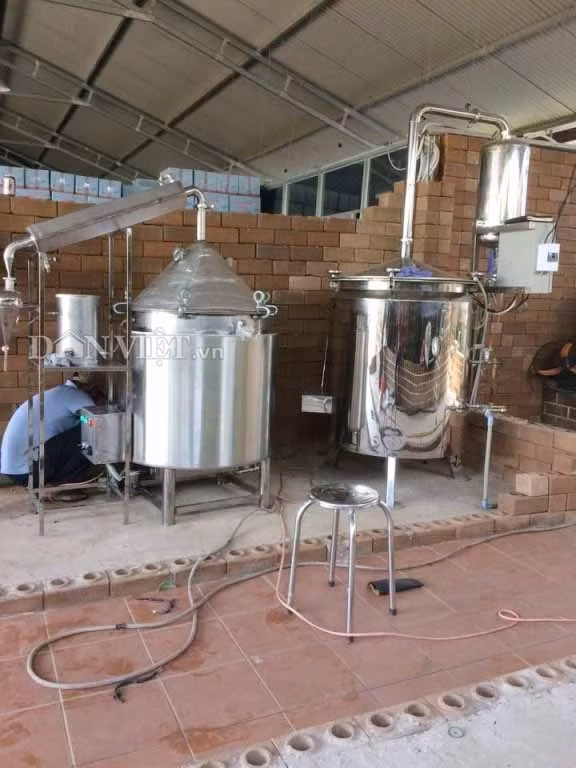 Không những vậy lão nông Trương Thanh Khoan còn chiết xuất tinh dầu trầm. Hiện giá 1 kg dầu trầm ông bán tại nhà dao động từ 10.000 đến 15.000 USD