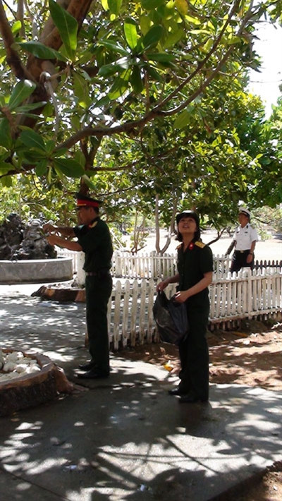 Lấy mẫu trên lá cây để đánh giá mức độ ô nhiễm không khí.