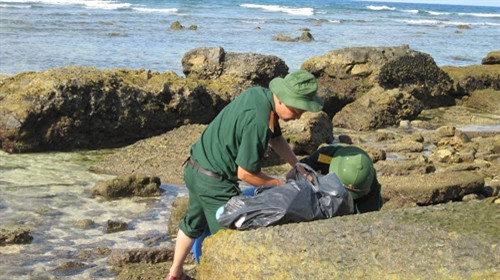 Mẫu nước được lấy tại các khe đá nơi có các sinh vật nhỏ sinh sống.