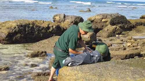 Mẫu nước được lấy tại các khe đá nơi có các sinh vật nhỏ sinh sống.