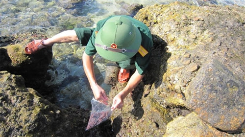 Từng loại tảo, rêu cũng được lấy mẫu phân tích.