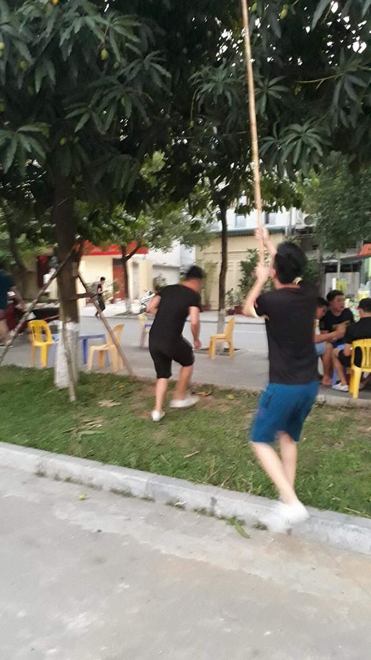 Hành động của nhà trường bảo vệ cây xoài được dân mạng đánh giá cao bởi thay vì cấm đoán, các thầy cô chọn cách nhắc nhở nhẹ nhàng và ủng hộ "ngầm" cho học sinh ăn quả "nhà trồng được". Chẳng thế mà nhiều người để lại bình luận thích thú phía dưới tấm ảnh.