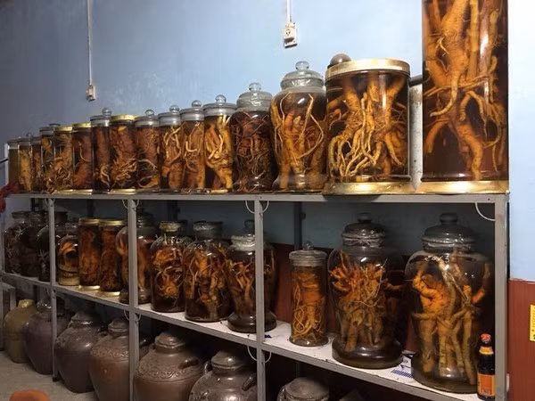 Chuyện phải uống hết rượu mới được hẹn hò bạn gái chỉ là đùa vui mà thôi.