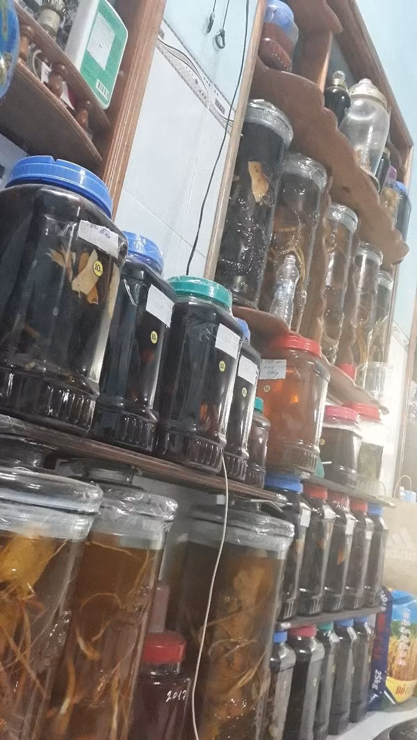 Như nhận được sự đồng cảm, hàng loạt dân mạng vào bình luận và chia sẻ hình ảnh hũ rượu quý của nhà mình và được bố mẹ cực giữ gìn.