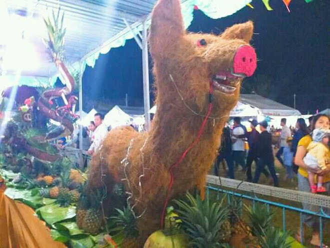 Nhiều dân mạng đặt câu hỏi rằng liệu đây là heo hay lạc đà của Tết năm 2019?