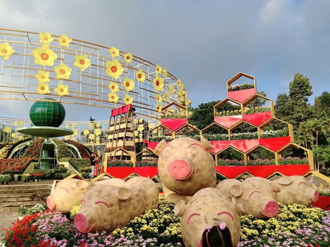 Khi heo được ăn no chúng sẽ vui vẻ và cười tít mắt.