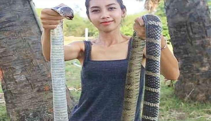 Các nhà chức trách hiện đang tiến hành điều tra về nguồn gốc của các loài động vật Ah Lin tiêu thụ và chuẩn bị công tác truy tố nếu phát hiện bất cứ bằng chứng chứng minh hành động phạm pháp.