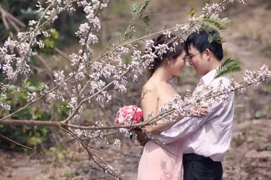 Vừa cảm nhận không khí trong lành của những làn gió biển, vừa được dịp ngắm hoa anh đào nở là khoảnh khắc đặc biệt của những du khách may mắn đến đúng thời điểm hoa nở rực rỡ.