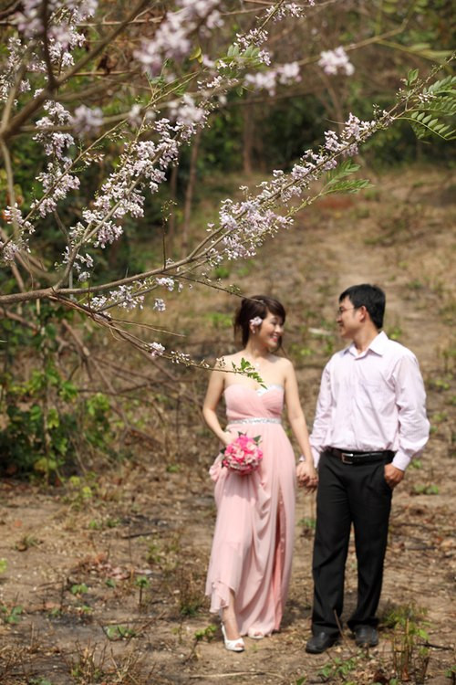 Màu trắng tinh và sau đó chuyển sang màu hồng phớt của cung đường hoa anh đào tại Vũng Tàu là điều khiến nhiều người bị cuốn hút.