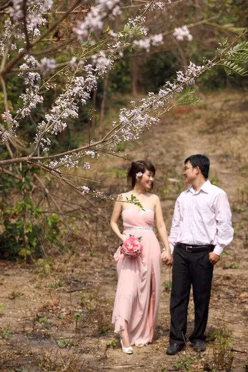 Màu trắng tinh và sau đó chuyển sang màu hồng phớt của cung đường hoa anh đào tại Vũng Tàu là điều khiến nhiều người bị cuốn hút.