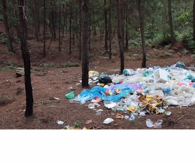 Người dân tại Tam Đảo đã phát hiện và chụp lại hình ảnh nồi mì còn nấu dở với những cọng rau su su được các dân phượt để lại và chính một dân phượt có tên H. đã nhận rằng mình có ăn trộm rau tại vườn của những người dân trên cung đường phượt của mình tới 17 lần.