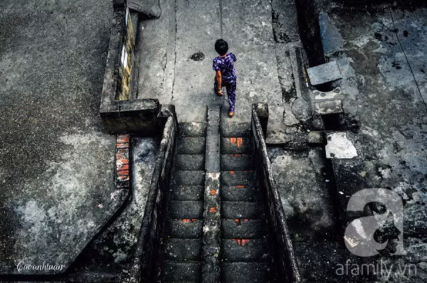 Lối cầu thang cũ mòn với khoảng sân phủ đầy rêu chỉ có thể gặp ở những khu tập thể cũ.