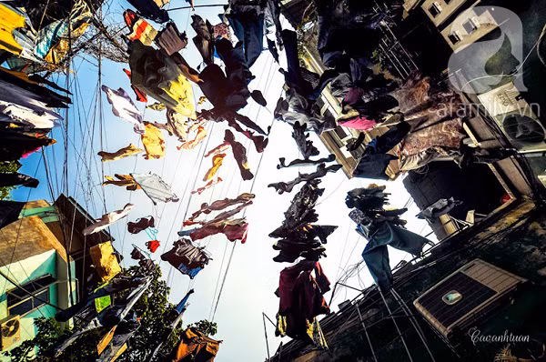 Khoảng trời chung nhìn từ phía dưới với chằng chịt dây phơi quần áo như một đàn chim nhiều màu sắc khổng lồ lộn xộn.