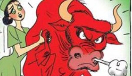 Bi hai an mang vi... hinh anh con bo tren lon nuoc