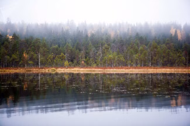 Khung cảnh quanh hồ Tolvayarvi ở Suoyarvsky, Cộng hòa Karelia thuộc Nga.