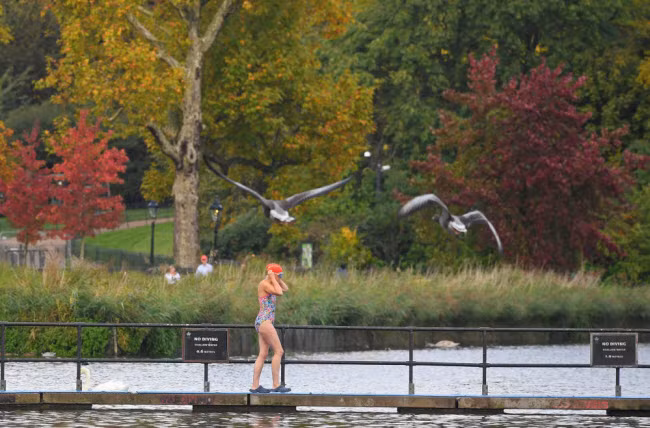 Người bơi chuẩn bị nhảy xuống tắm dưới hồ Serpentine trong công viên Hyde ở thành phố London, Anh.